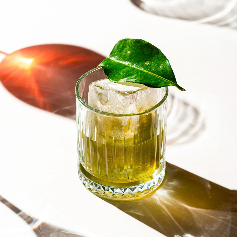 Elysia Tumbler Cocktail Glass
