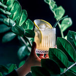 Elysia Tumbler Cocktail Glass